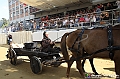 VBS_0944 - Palio di Asti 2024